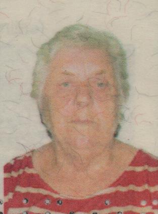 HILDA AP. DRUDI DA SILVA