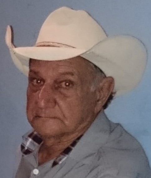 ARMANDO BIGARELI DE MORAES