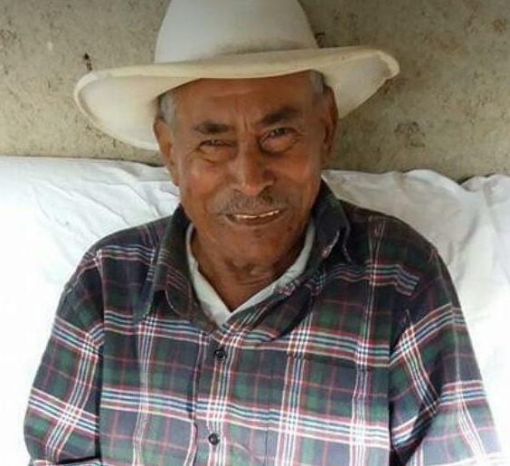 AMADEU BUENO DE ASSIS