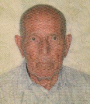 NELSON MARCATTO