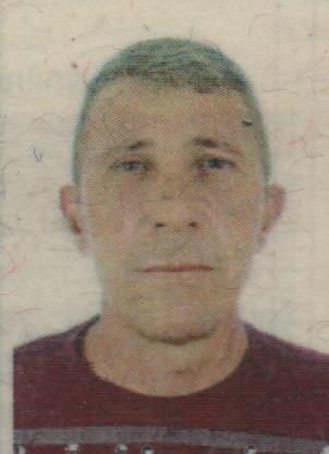 NELSON CARTAROZZI JUNIOR