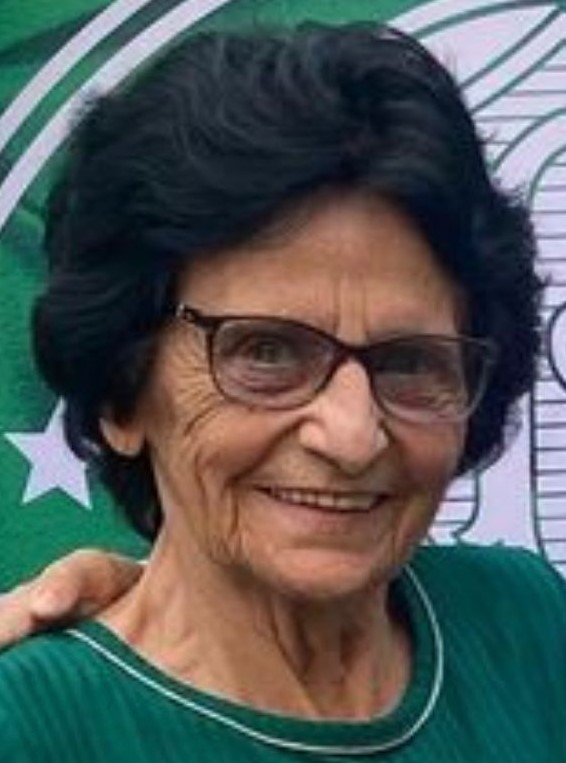 ELVIRA MENEGHIN DE MORAES