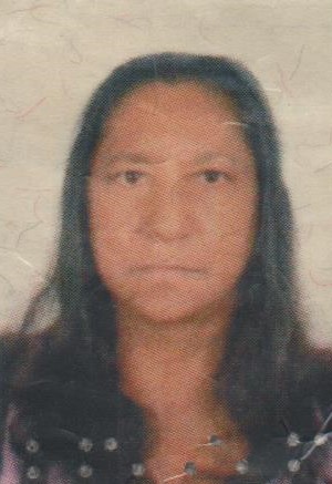 TEREZA GERALDINA RIBEIRO DE LIMA