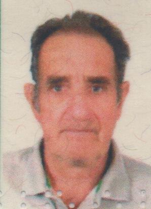 NELSON VENDRAMINI