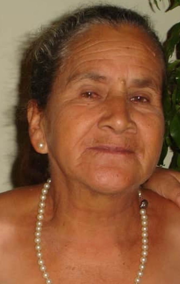 TEREZINHA ARAÃšJO LUIZ