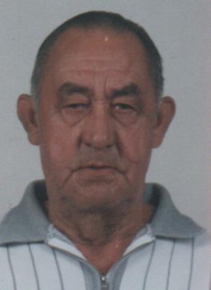 ALFREDO DE SOUZA NETO